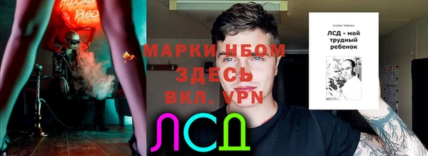 сатива Баксан