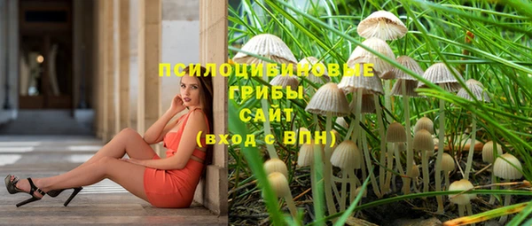 сатива Баксан