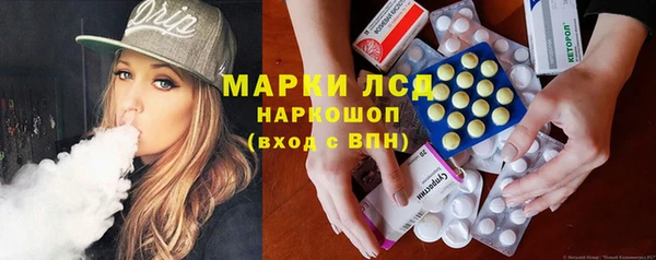 сатива Баксан