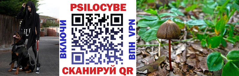 Псилоцибиновые грибы GOLDEN TEACHER  как найти закладки  Спас-Деменск 
